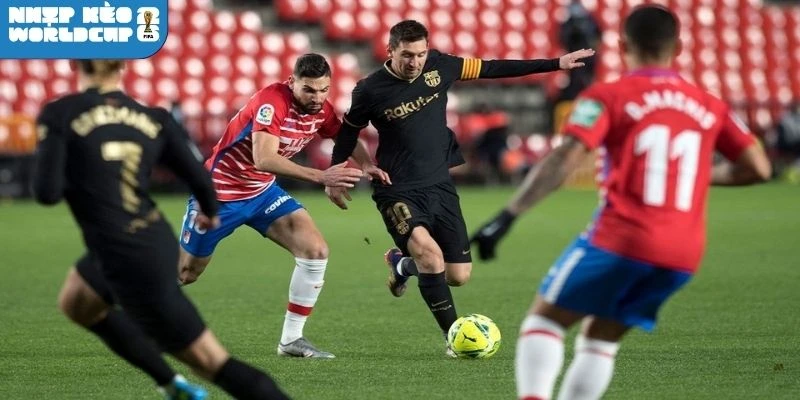 Cập nhật đội hình dự kiến ra sân của Ecuador vs Curacao