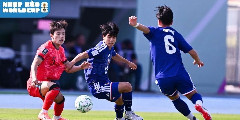 Chiến thuật thi đấu của hai tuyển New Zealand vs Ai Cập