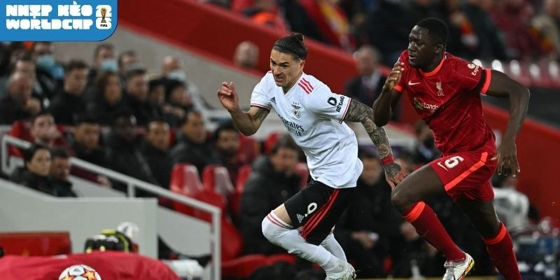 Dự kiến sơ đồ ra sân Bồ Đào Nha vs Uzbekistan