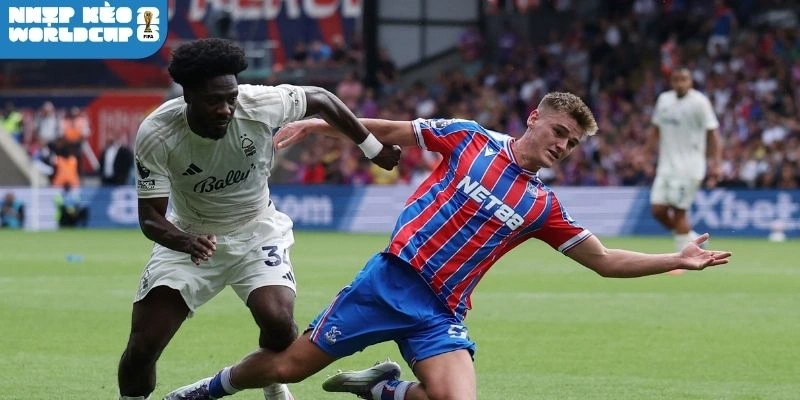 Phương án đội hình của Curacao và Bờ Biển Ngà