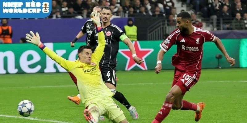 Sơ đồ ra sân dự kiến áp dụng trận Ai Cập vs Iran