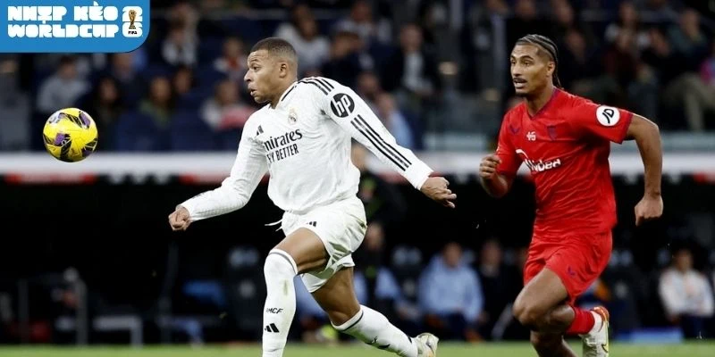 Sơ đồ ra sân dự kiến áp dụng trận Thổ Nhĩ Kỳ vs Hoa Kỳ