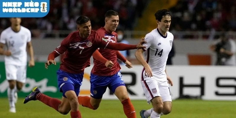 Sơ đồ ra sân dự kiến trận Bỉ vs Ai Cập